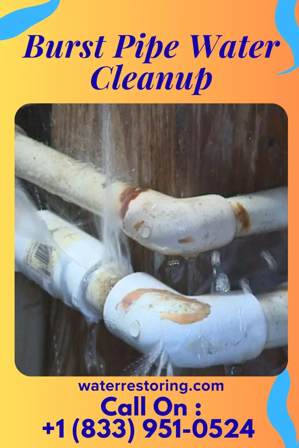 Burst Pipe Water Cleanup in Munnsville, NY