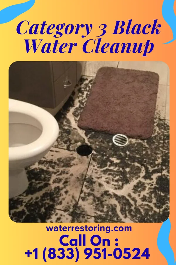 Category 3 Black Water Cleanup in Munnsville, NY