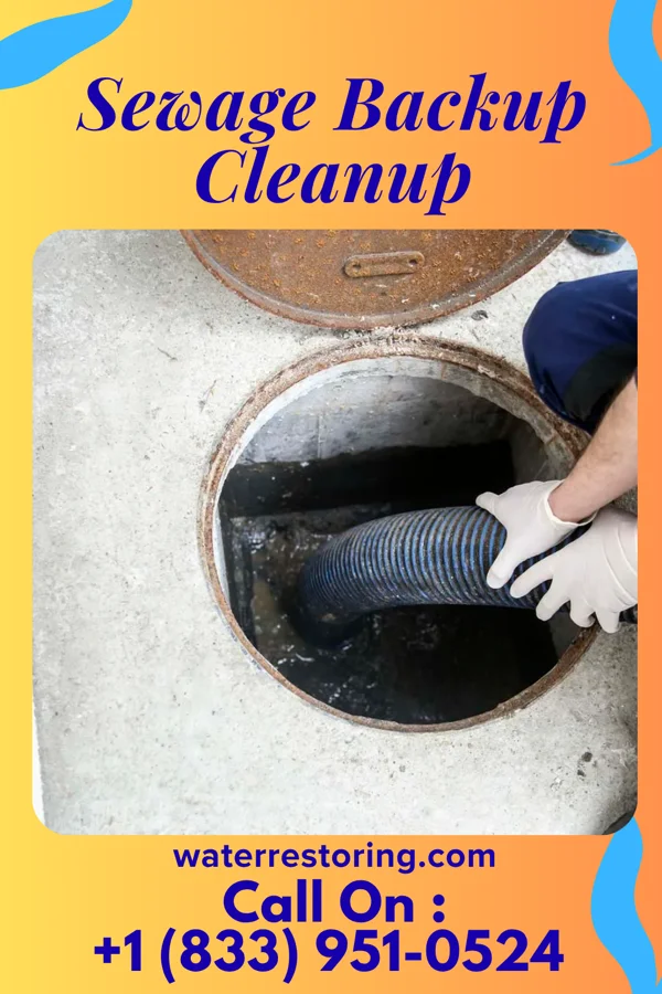 Sewage Backup Cleanup in Munnsville, NY