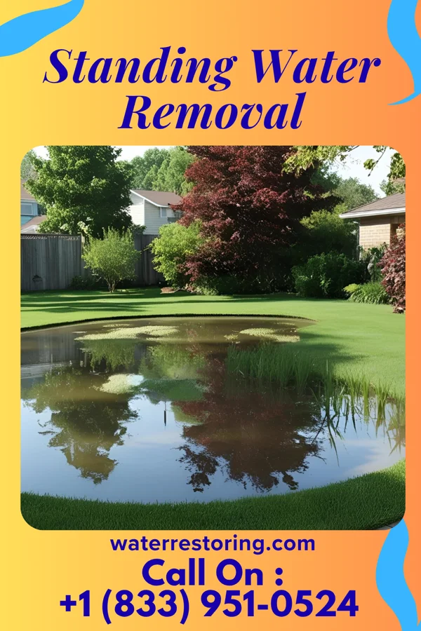 Standing Water Removal in Munnsville, NY